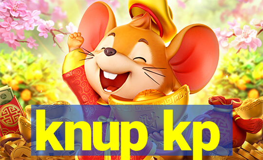 knup kp-t89 driver